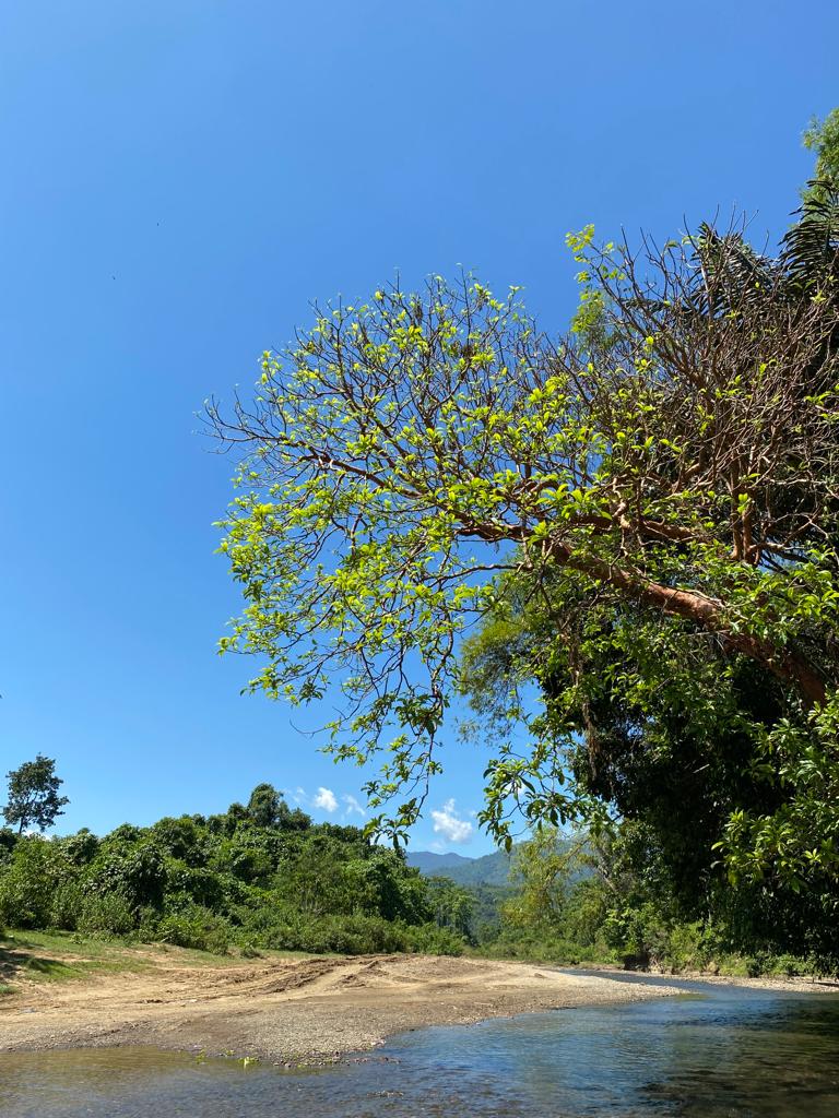 Sungai lhok gajah berada di ujung desa sebagai perbatasan dengan kecamatan Bandar Dua. 